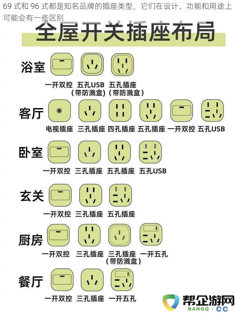 69 式和 96 式都是知名品牌的插座类型，它们在设计、功能和用途上可能会有一些区别