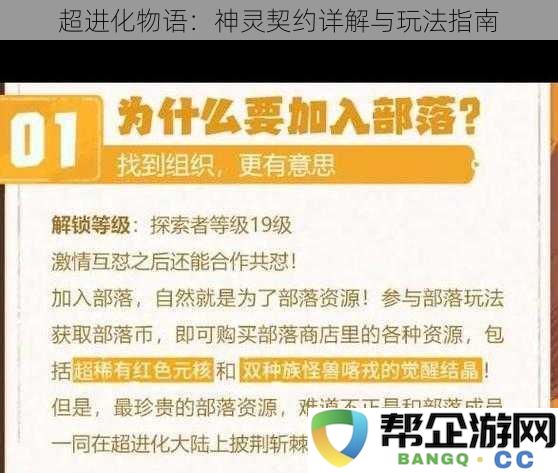 超进化物语：神灵契约详解与玩法指南