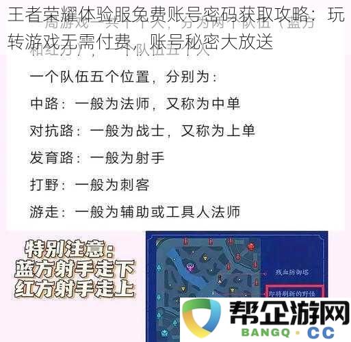 王者荣耀体验服免费账号密码获取指南：轻松畅玩游戏，零费用账户分享大公开