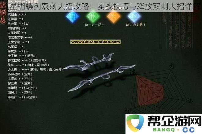 流星蝴蝶剑双刺大招攻略：实战技巧与释放双刺大招详解