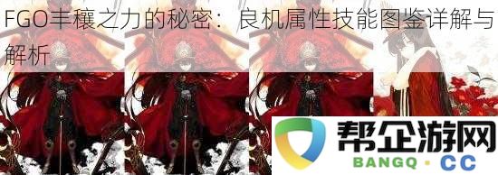 FGO丰穰之力揭秘：良机属性技能全面解析与图鉴说明