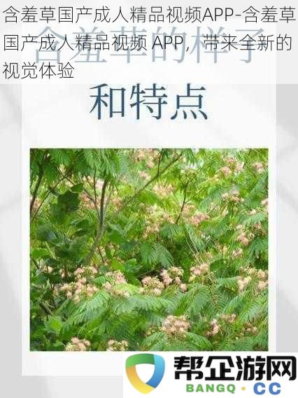 含羞草期间限定制成人精品视频APP，让你体验前所未有的视觉盛宴