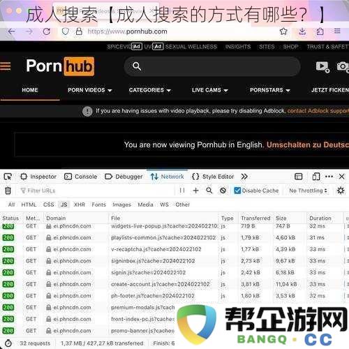 成年人在网络上进行搜索的多种方式有哪些？