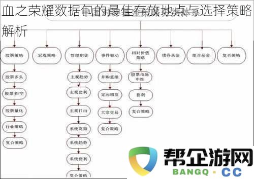 探讨血之荣耀数据包的优选存储位置与合理选择策略分析