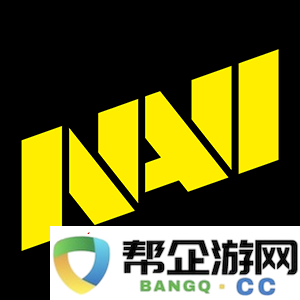 HLTV颁奖典礼：年度最佳战队——NAVI