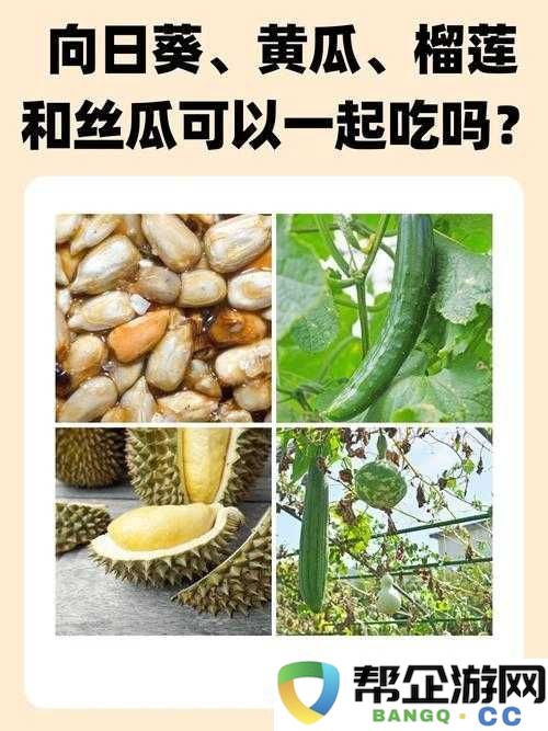 草莓香蕉榴莲黄瓜丝瓜茄子：它们的奇妙世界与独特魅力