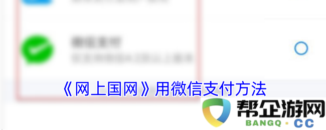 《网络电力服务》使用微信支付功能的详细指南
