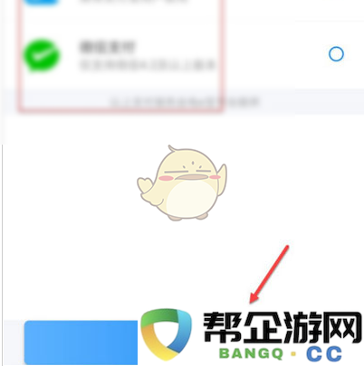 《网络电力服务》使用微信支付功能的详细指南