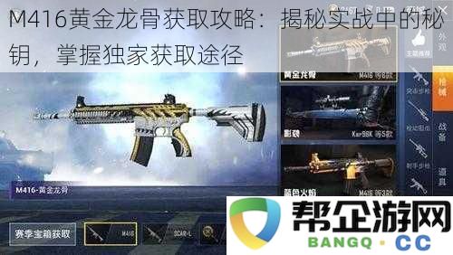 M416黄金龙骨获得技巧：深入实战揭秘，掌握专属获取方法与秘钥